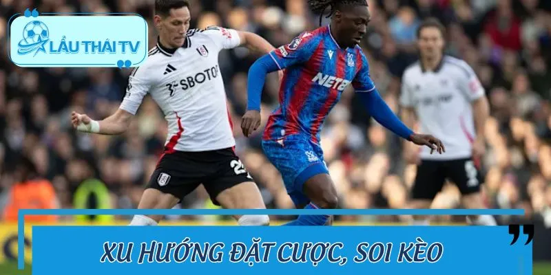 Bỏ túi xu hướng chọn cửa cửa và soi kèo hiệu quả