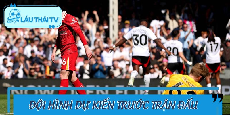 Đội hình dự kiến trước trận Fulham vs Liverpool