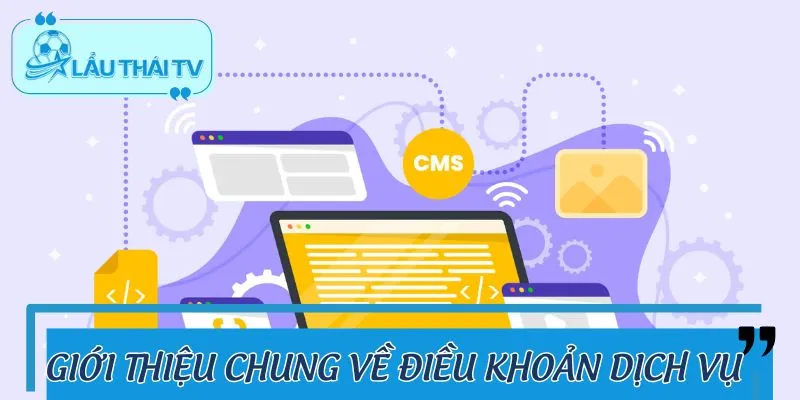 Một số thông tin sơ lược về điều khoản dịch vụ 