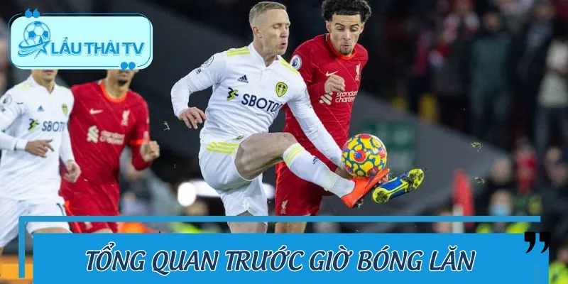 Đôi nét về đội tuyển Liverpool vs Leeds United
